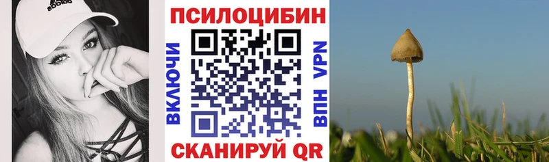 Псилоцибиновые грибы Psilocybe  Яхрома 